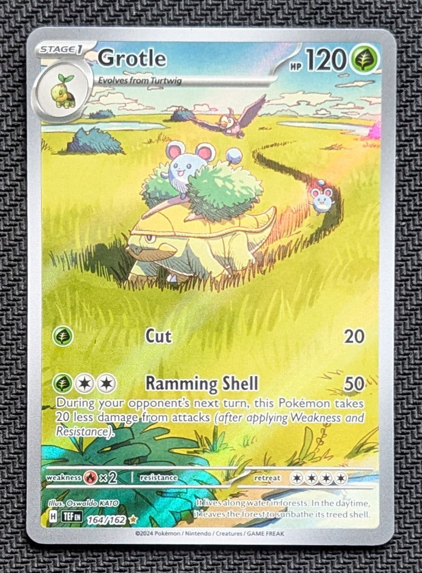 Grotle - 164/162
Holo
Illustration Rare - Unlimited