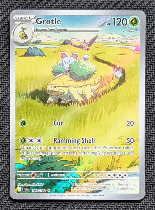 Grotle - 164/162
Holo
Illustration Rare - Unlimited